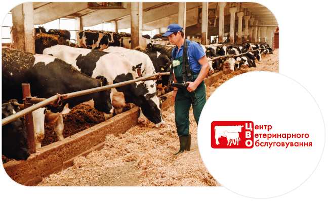 Центр ветеринарного обслуговування